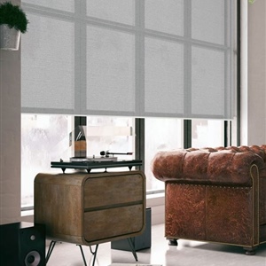 Translucent Roller blinds by Wilson- Broome II 