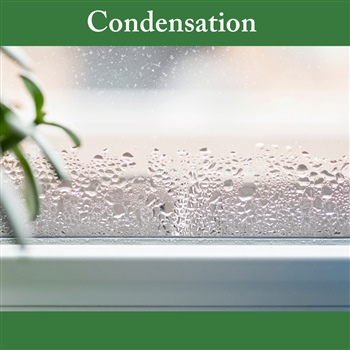 Window condensation and Roller Shutters