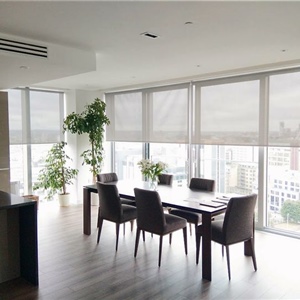 Light Filtering Roller blinds